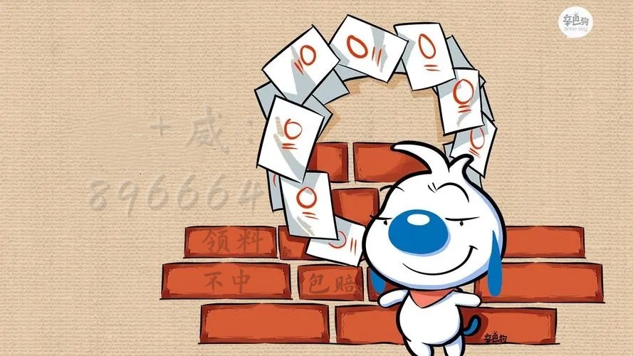 一肖一码一一肖一子 /实用释义解释落实
