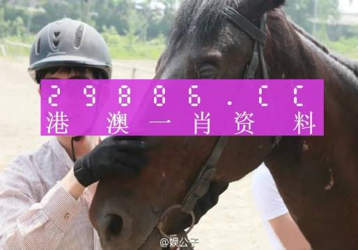 澳门精准一肖一码一一中 /词语释义解释落实