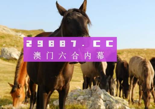 澳门管家婆一肖一码一中一开 /实用释义解释落实