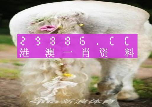 2024-2025澳门和香港一肖一码一一特一中 /精选解析解释落实