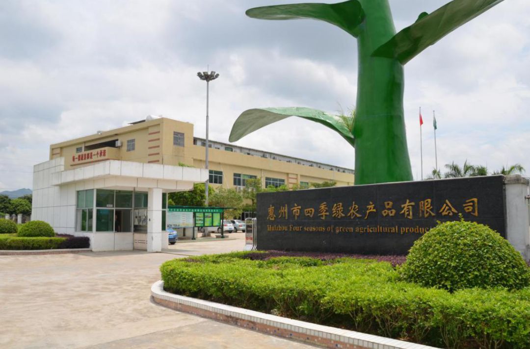 广东纯五季有限公司，探索卓越品质的源泉