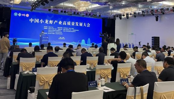 江苏中冉信息科技，引领科技创新的先锋力量