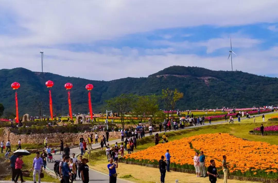 广东省体育频道，活力四溢的体育传播高地