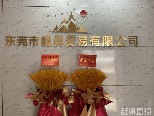 广东臻致远贸易有限公司，探索卓越之路
