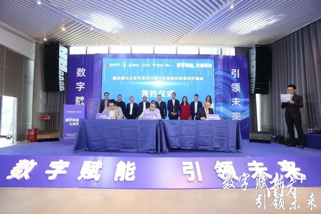 广东花渐网络有限公司，引领数字时代的网络先锋
